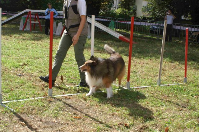 foire-haricots 2011-09-17et18